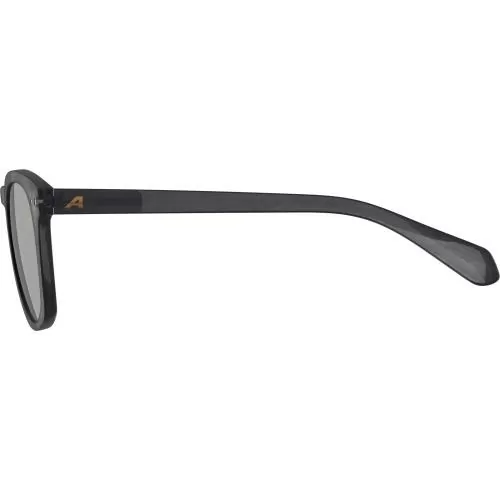 Alpina Sunbeam Sunglasses - grey transparent, green cat.3