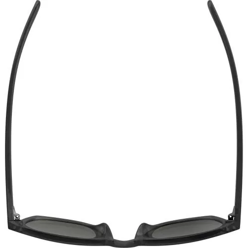 Alpina Sunbeam Sunglasses - grey transparent, green cat.3