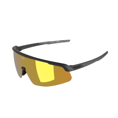 Alpina Turbo Pro Q Sonnenbrille - black
