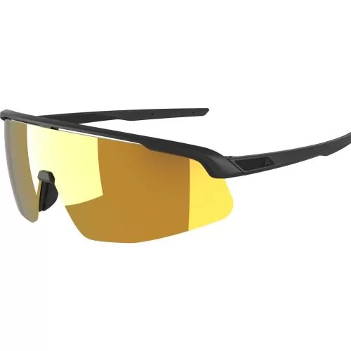 Alpina Turbo Pro S Q Sportbrille - black
