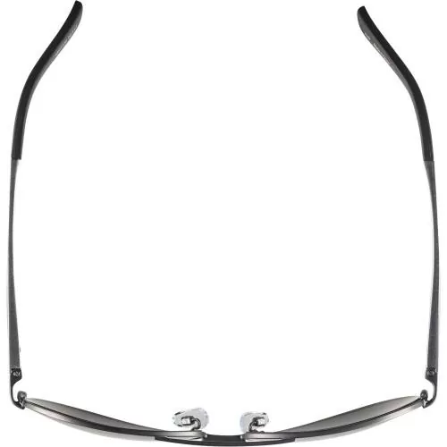 Alpina A 107 Sonnenbrillen - Titanium Matt Mirror Black