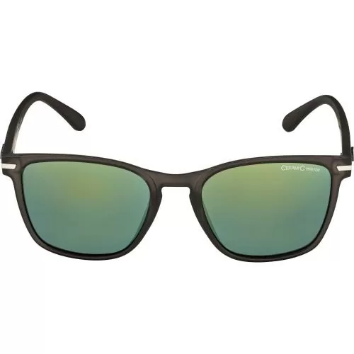 Alpina YEFE Eyewear - grey-transparent matt, gold mirror