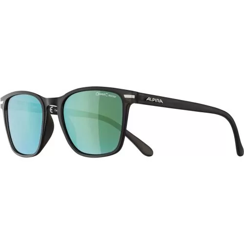 Alpina YEFE Eyewear - grey-transparent matt, gold mirror